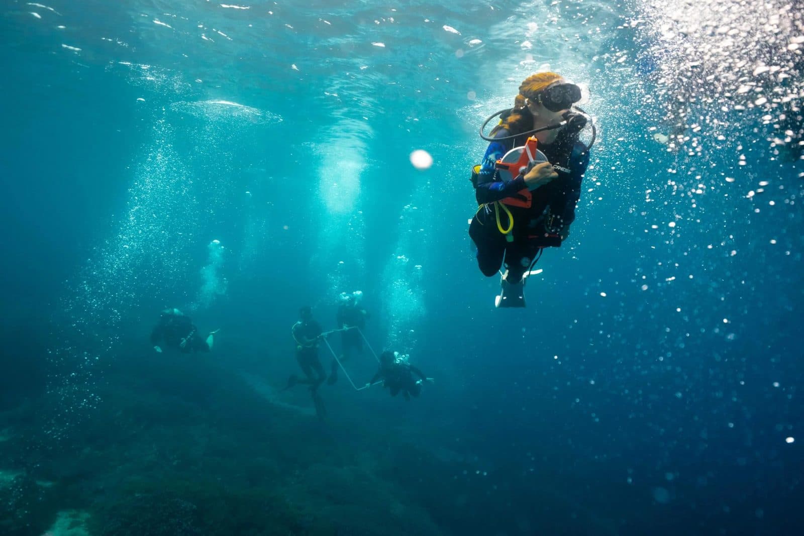 PADI Open Water Course in Sanur – Sanur, Bali, Indonesia