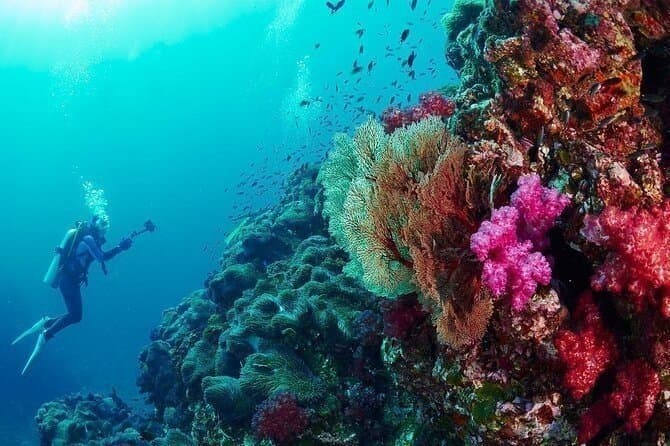 SSI Open Water Diver Course in Phuket – Phuket, Thailand