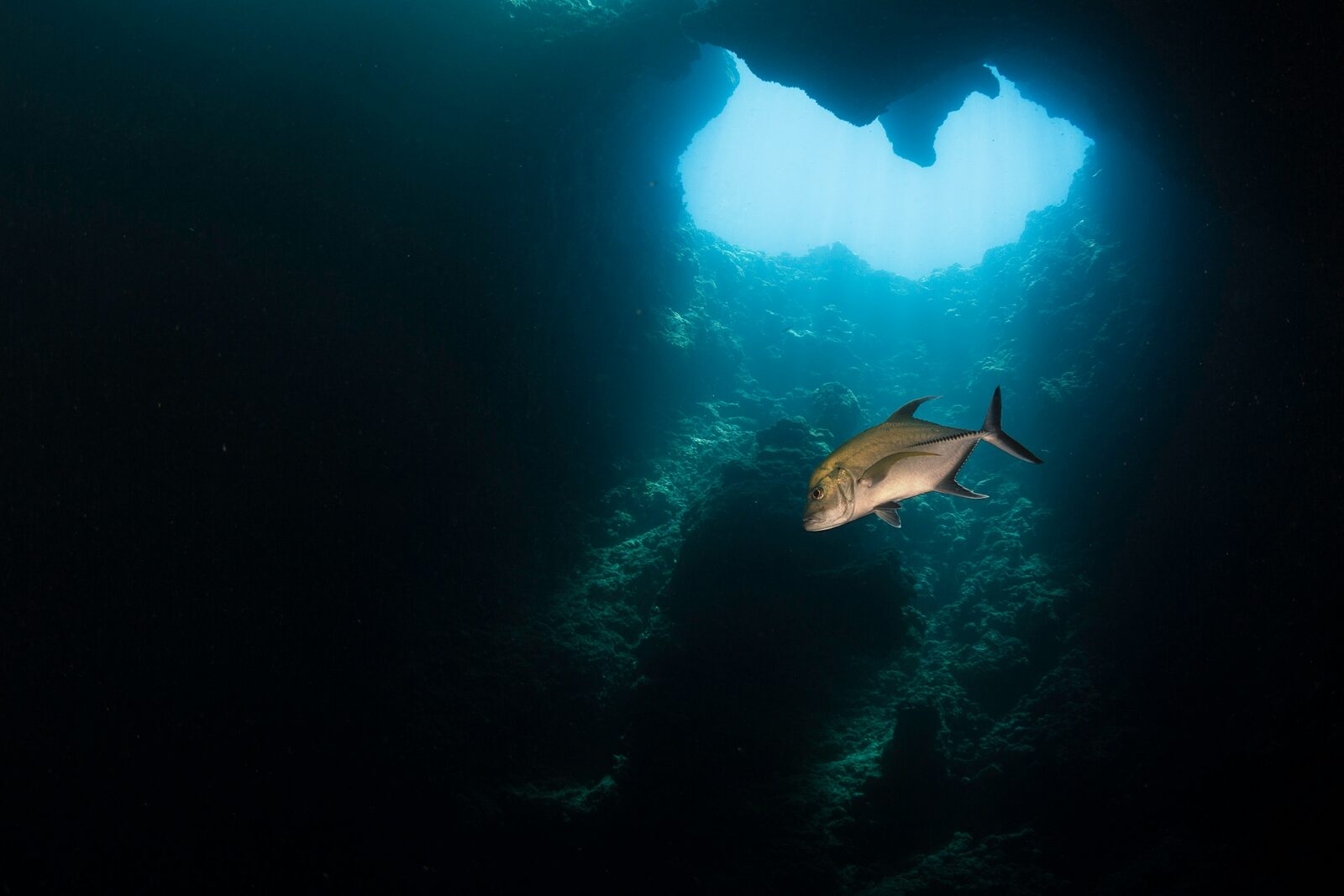 Sipadan Island, Sabah, Malaysia
